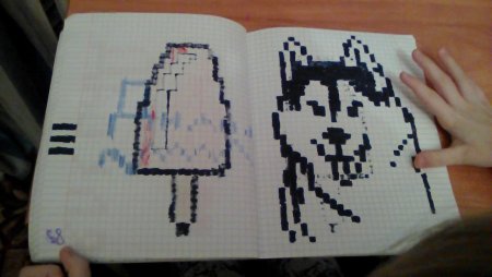 Рисунки по клеткам гетеа5