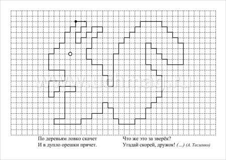 Графический диктант белка