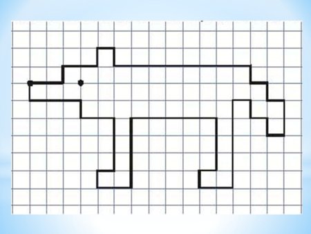 Графический диктант животные