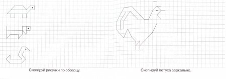 Курица по клеткам
