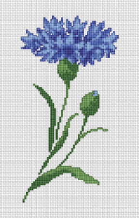 Тюльпан по клеточкам