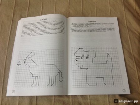 Графический диктант животные