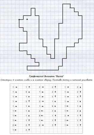Графический диктант белка по клеточкам для дошкольников