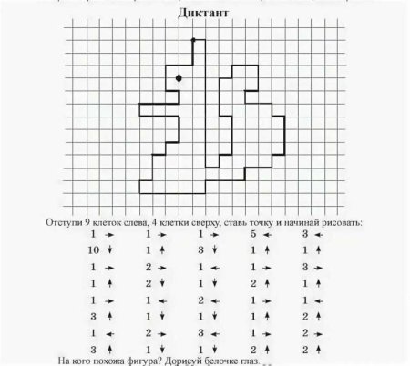 Графический диктант белка для дошкольников