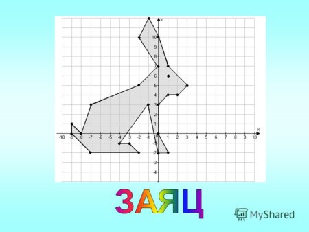 Заяц на координатной плоскости