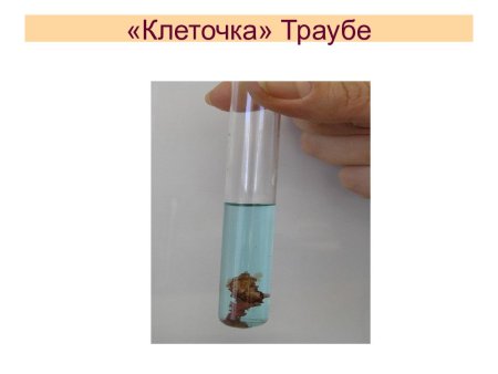 Рост искусственной клетки Траубе лабораторная
