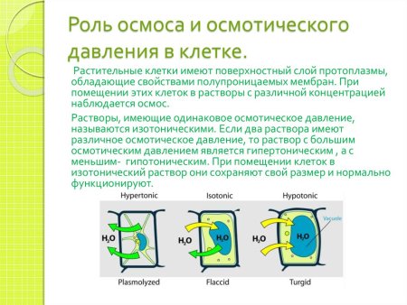Лист тетради по химии