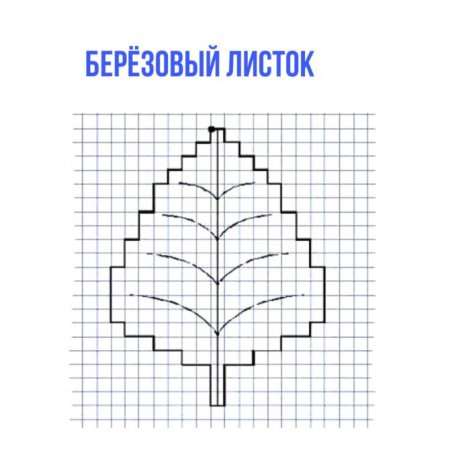 Графический диктант кленовый лист