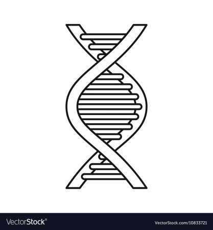 Спираль ДНК вектор