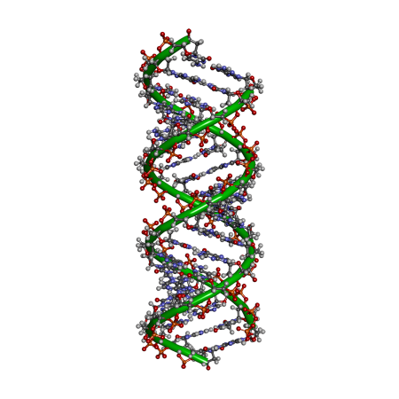 ДНК на прозрачном фоне