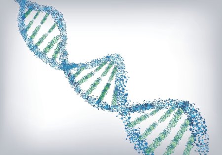 Генетика арт