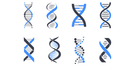 Цепь ДНК вектор