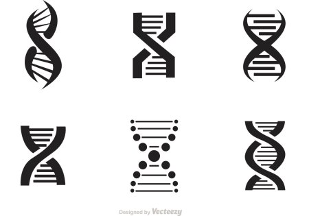 ДНК Графика