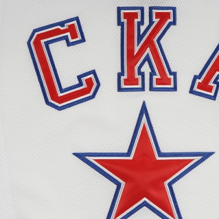 Логотип команды СКА