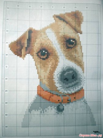 Вышивка крестом собака Джек Рассел