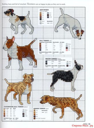 Схема вышивки крестиком Джек Рассел терьер