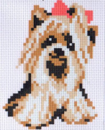 Собачка в клеточку