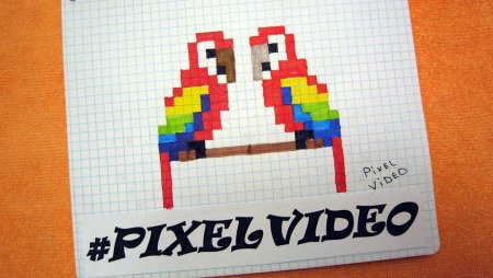 Попугай по клеточкам