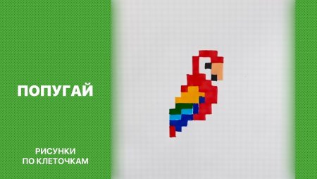 Рисунки по клеточкам попугай