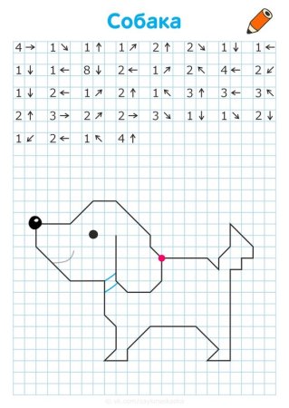 Графический диктант верблюд Холодова