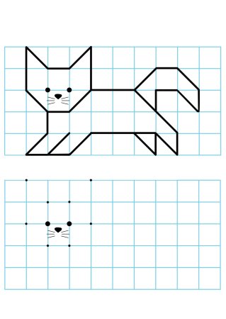 Задания по клеткам