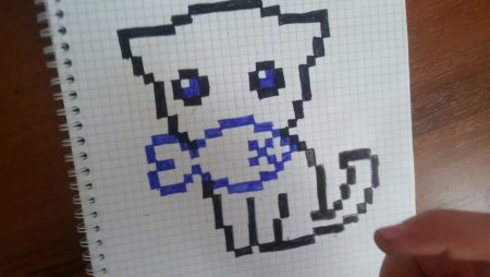 Блокнот по клеточкам с кошкой