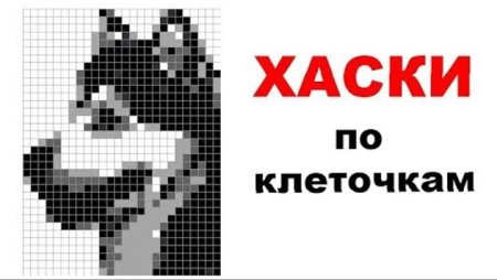 Хаски по клеточкам в тетради