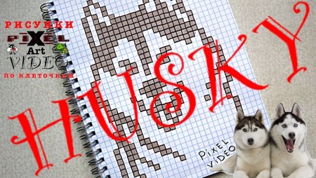 Монохромная вышивка хаски