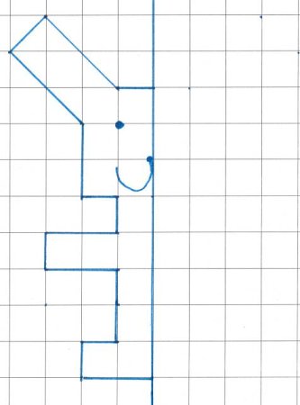 Симметрия для дошкольников