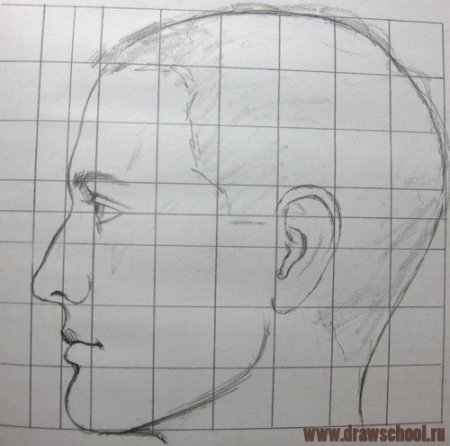 Рисование портрета профиль