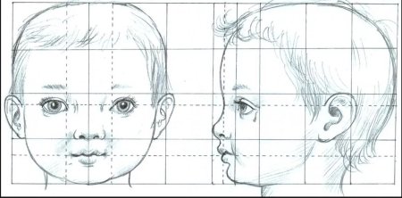 Пропорции лица ребенка