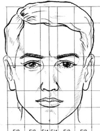 Портрет пропорции лица человека