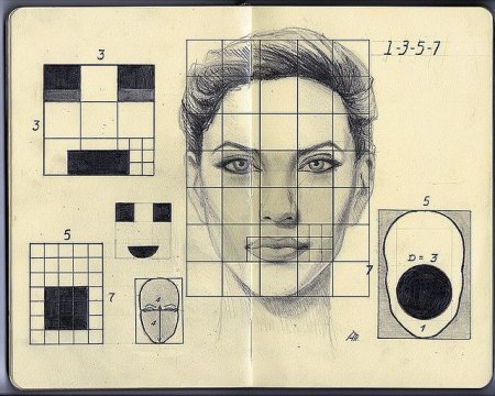 Пропорции лица