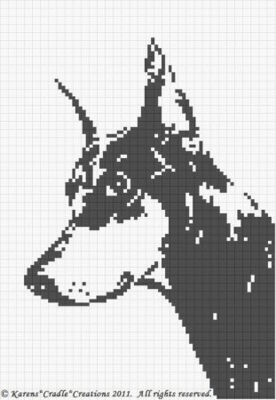 Схема вывязывания добермана