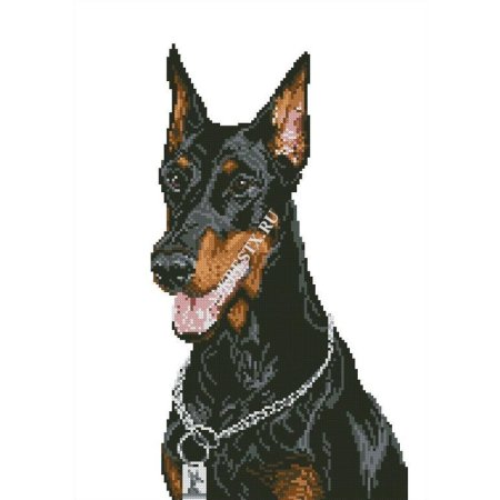 Доберман крестиком