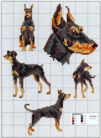 Схемы вышивки крестом собаки Доберман