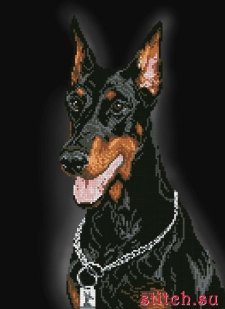 Доберман 40811