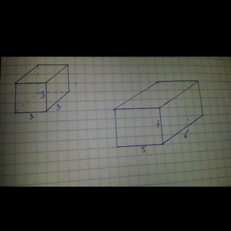 Цилиндр по клеткам