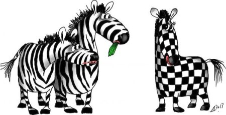 Зебра в клеточку рисунок