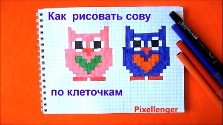 Сова по клеткам