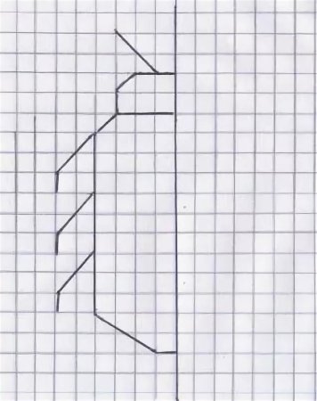 Рисование по клеточкам для детей