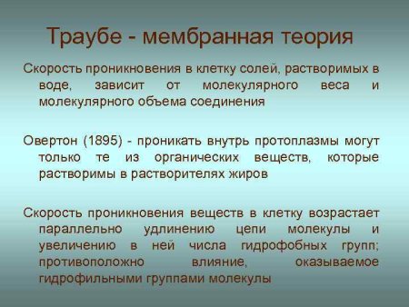 Искусственная клеточка Траубе