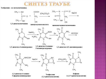Клетка Траубе опыт
