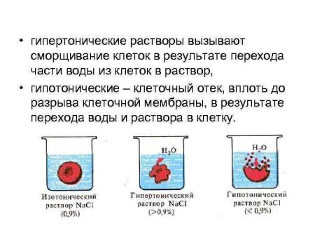 Метод Траубе