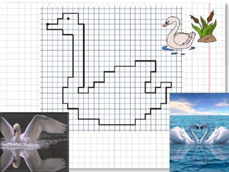 Графический диктант лебедь
