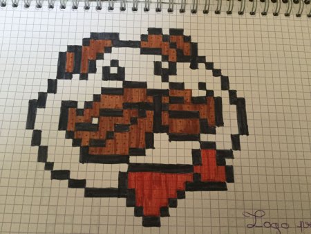 Рисунки по клеточкам в тетради