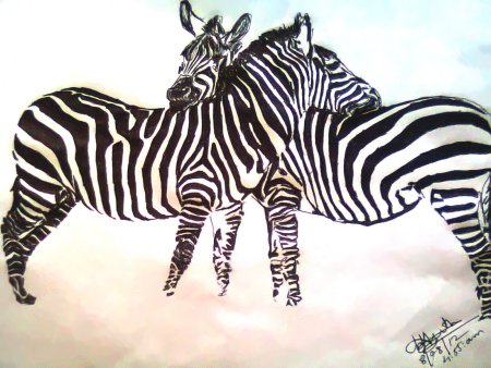 Рисуем зебру