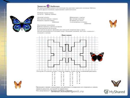 Графический диктант бабочка