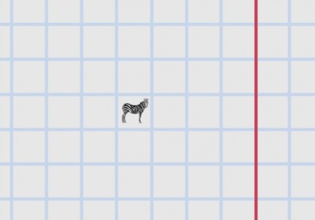 Зебра в клеточку персонажи рисунки