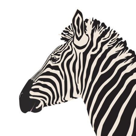 Зебра в клеточку рисунок